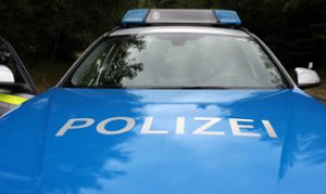 Die Polizei geht von einem Totalschaden des Autos in Höhe von 15.000 Euro aus. (Symbolfoto) Foto: Pixabay
