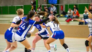Handball Landesliga: Entscheidung auf dem Sulgen